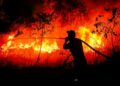 ANGGOTA bomba memadamkan kebakaran hutan di Kampung Sungai Rambutan, Sumatera. - AFP