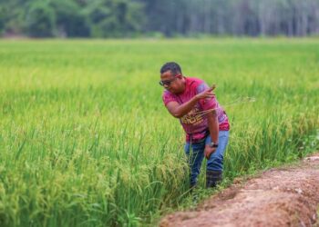 TANAH pertanian perlu dipelihara dan dimanfaatkan sebaik-baiknya bagi memperkukuh pengeluaran beras serta menjamin keterjaminan makanan negara pada masa depan.