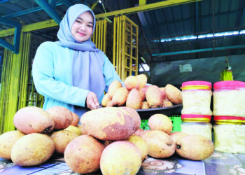 SITI Khadijah Che Mat Razamin menunjukkan buah binjai yang dijualnya di Kampung Batu 31, Machang, Kelantan. – UTUSAN/ROHANA ISMAIL