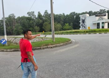SABRE Manap menunjukkan beberapa ekor anjing liar yang berkeliaran di Seri Iskandar, Perak.