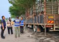 LORI membawa 63 lembu hidup tanpa kebenaran berjaya ditahan di Ipoh hari ini.