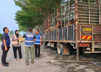 LORI membawa 63 lembu hidup tanpa kebenaran berjaya ditahan di Ipoh hari ini.