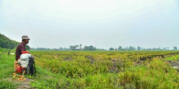 SEORANG pesawah, Yusri Yusof berehat seketika sebelum meneruskan kerja-kerja membaik pulih tanah sebelum tanaman musim baharu di Kampung Alor Redis, Arau, Perlis baru-baru ini. -UTUSAN/IZLIZAN OTHMAN