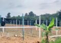 LOKASI kawasan tanaman sireh yang diusahakan oleh etnik Rohingya di Kampung Padang Guchil, Tanah Merah, Kelantan.-GAMBAR TULAR