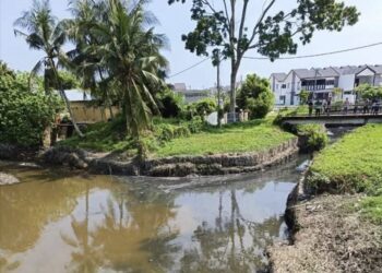 KEADAAN Sungai Kereh di Kampung Selamat, Tasek Gelugor, Pulau Pinang yang tercemar akibat sisa kumbahan najis babi sebelum ini.-GAMBAR/JAS PULAU PINANG