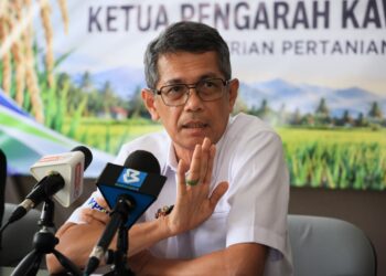 LUQMAN Ahmad semasa sidang media di Kilang Padi Darul Naim, Mukim Tasek Berangan, Pasir Mas, Kelantan hari ini-UTUSAN/KAMARUL BISMI KAMARUZAMAN.