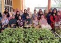 PESERTA bergambar bersama pokok Golden Melon yang diusahakan dengan bimbingan Universiti Putra Malaysia Sarawak (UPMS).