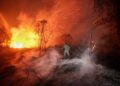KEBAKARAN hutan di Indonesia dikaitkan dengan syarikat dari Malaysia. - AFP