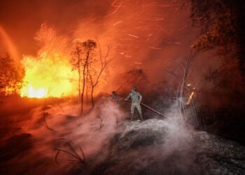 KEBAKARAN hutan di Indonesia dikaitkan dengan syarikat dari Malaysia. - AFP