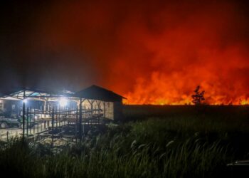 PENCEMARAN asap akibat kebakaran hutan menyebabkan 3,560 maut di Indonesia. - AFP