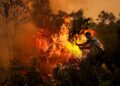 EMPAT syarikat disyaki terlibat kebakaran hutan di Indonesia. - AFP