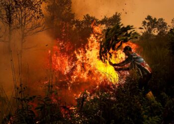 EMPAT syarikat disyaki terlibat kebakaran hutan di Indonesia. - AFP