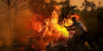 EMPAT syarikat disyaki terlibat kebakaran hutan di Indonesia. - AFP