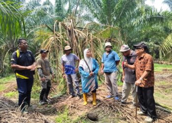 SEBAHAGIAN pekebun di Kampung Perlop 1, Sungai Siput yang mengalami kerugian puluhan ribu ringgit akibat serangan gajah liar.