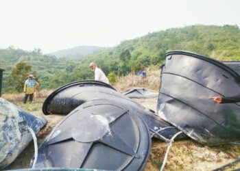 BEBERAPA pekebun di Bukit Bangkong melihat tong tadahan air mereka yang berharga ratusan ringgit musnah akibat kacau ganggu gajah di Ipoh, Perak. - UTUSAN/FADZIL ZAINOL