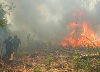 KEBAKARAN seluas lebih 3,000 hektar hutan dan tanah masih belum dipadam. - AFP