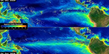 LAUTAN bertukar warna akibat Super El Nino.- NASA's Scientific Visualization Studio