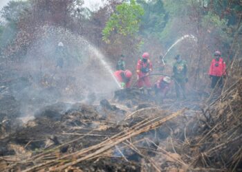 USAHA memadamkan kebakaran hutan di Kalimantan dipertingkatkan atas arahan Prabowo Subianto. - AFP