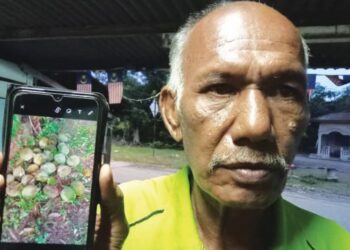 MOHD. Syukor Mahabah menunjukkan sebahagian buah durian yang gugur semasa ribut di Kampung Melayu Raya, Segamat, Johor, semalam.