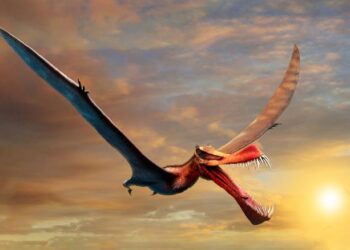 ILUSTRASI haiwan naga bernama Pterosaurus. -CNN