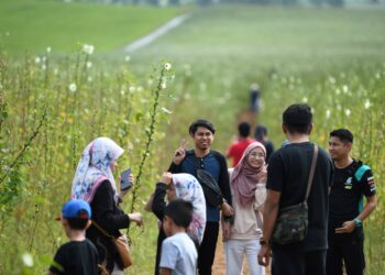 PENGUNJUNG tidak melepaskan peluang bergambar bersama bunga kenaf yang menjadi sebahagian daripada tarikan pelancongan di Perlis.