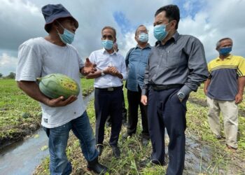 ZAMRI Mat Hassan (kiri) menunjukkan tembikai yang terpaksa dituai awal kepada Wan Hassan Wan
Ibrahim (dua dari kanan) dan Ahmad Adlee Yasin di Kampung Pak Makyong, Pasir Puteh. -
UTUSAN/TOREK SULONG