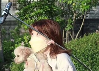 CUPING telinga Ayumi Takada boleh meregang sehingga 4.5 sentimeter (cm). - COMPASS MEDIA