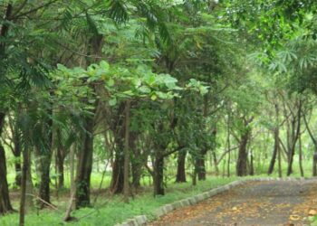 MANGSA yang berusia 13 tahun dirogol keempat-empat suspek di kawasan taman di Jakarta. - AGENSI