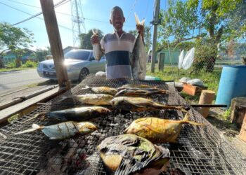 WAN Mohd. Zuki Wan Deraman mengusahakan nasi bersama ikan bakar di Warung Ikan Bakar Abang
Juki di Cherang Ruku, Pasir Puteh. - UTUSAN/TOREK SULONG