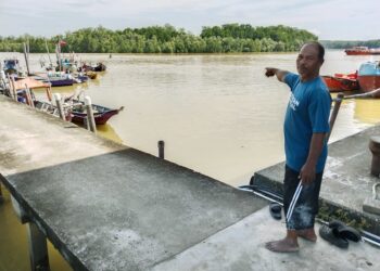 AMY Ahmad menunjukkan lokasi hutan yang menjadi tempat buaya berjemur ketika air surut di sekitar muara Sungai Linggi, Kuala Linggi, Melaka. – UTUSAN/MUHAMMAD SHAHIZAM TAZALI