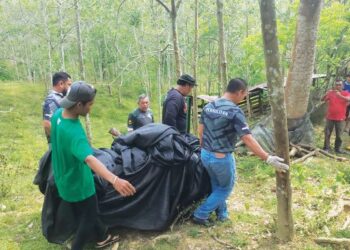 ANGGOTA Perhilitan membawa seekor harimau kumbang dewasa betina seberat 30.5 kilogram yang masuk ke dalam perangkap di Kampung Sri Repah, Tampin, Negeri Sembilan. - UTUSAN/NOR AINNA HAMZAH