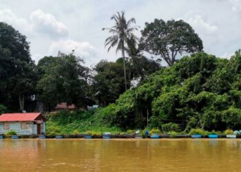 SANGKAR ternakan ikan patin yang diusahakan warga Kemboja di Sungai Perak ketika tinjauan di Parit, baru-baru ini. - UTUSAN/AIN SAFRE BIDIN