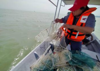 SET bubu naga dirampas Jabatan Perikanan selepas dikesan dipasang kira-kira 0.15 batu nautika dari Pulau Perjudi, Port Dickson. - IHSAN JABATAN PERIKANAN