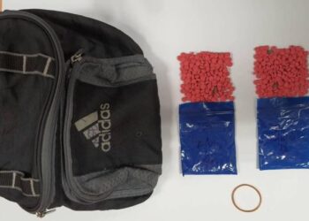 PIL kuda yang dirampas selepas polis menahan seorang lelaki di Kampung Tok Bok, Tendong, Pasir Mas, Kelantan, malam tadi.