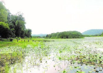 PEMANDANGAN di Tasik Chini, Pahang.