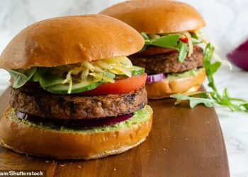 BURGER berasaskan sayuran disaran dihidangkan di institusi awam. - AGENSI