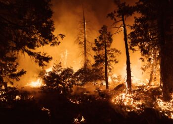 KEBAKARAN hutan di Foresthill, California. - AFP
