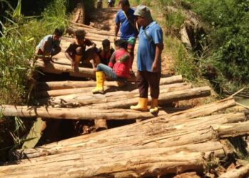 JAMBATAN kayu sering mengalami kerosakan sekali gus menjejaskan aktiviti penduduk dari lima kampung di Pos Bihai, Gua Musang, Kelantan. – UTUSAN/AIMUNI TUAH LAH