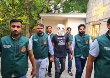 POLIS menahan Wasim Akram yang juga dikenali sebagai Lambu. - AGENSI