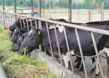 INDUSTRI tenusu berpotensi untuk
dikembangkan bagi menjamin bekalan makanan dalam negara dan mengurangkan
kebergantungan kepada produk import. - GAMBAR HIASAN