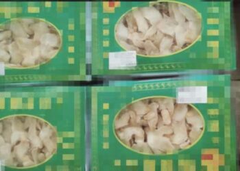 SEBAHAGIAN produk herba Cina yang tidak mempunyai permit import sah dirampas Maqis dalam pemeriksaan di Pelabuhan Pangkalan Kontena Butterworth (NBCT), Pulau Pinang semalam.