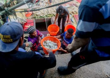 HARGA ikan kembali stabil berikutan peningkatan bekalan hasil laut itu.