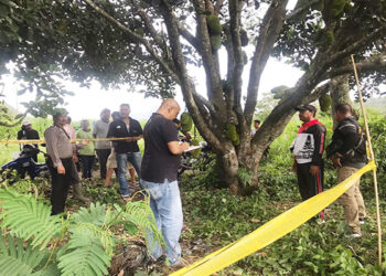 MAYAT mangsa ditemukan tergantung di pokok nangka di sebuah kebun di Bali, Indonesia. - AGENSI