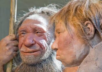 PAKAR Arkeologi England menemui hidangan masakan tertua di dunia yang disediakan oleh manusia purba Neanderthal di sebuah gua di Iraq baru-baru ini.-AGENSI