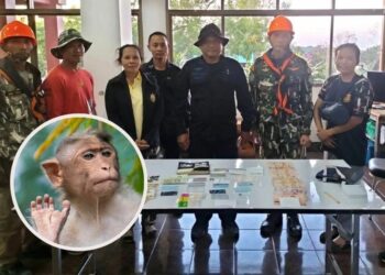 PASUKAN renjer hutan membantu menyelamatkan beg berisi wang tunai yang dicampak seekor monyet di Taman Negara Khao Phra Wihan kelmarin.-AGENSI