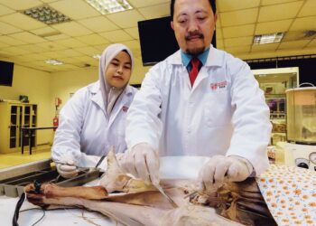 HALA  tuju patologi anatomi digital  masih tidak jelas tanpa dasar atau garis panduan kebangsaan untuk menentukan penggunaan dan pelaksanaannya.