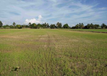 KEADAAN petak sawah yang  kering dan tanahnya kelihatan merekah akibat cuaca panas ketika tinjauan di Kampung Parit Haji Ismail 3 di Bagan Serai. – UTUSAN/WAT KAMAL ABAS