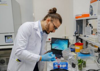 SERKAN DIKICI menjalankan kajian terhadap bayam di makmal, Izmir, Turki.-AGENSI