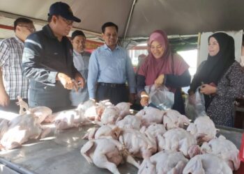 AZMAN Mohd. Yusof (kiri) meninjau bekalan ayam yang dijual pada  PJMKM di Seberang Takir  di Kuala Terengganu, hari ini. - UTUSAN/KAMALIZA KAMARUDDIN
