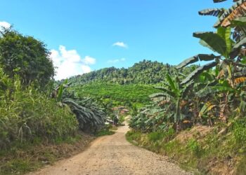 Antara jalan kampung di Ranau yang masih belum berturap